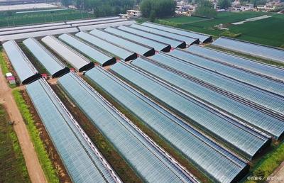 广东云浮特色农业三产融合基地,用地16.8亩,含农产品推广中心